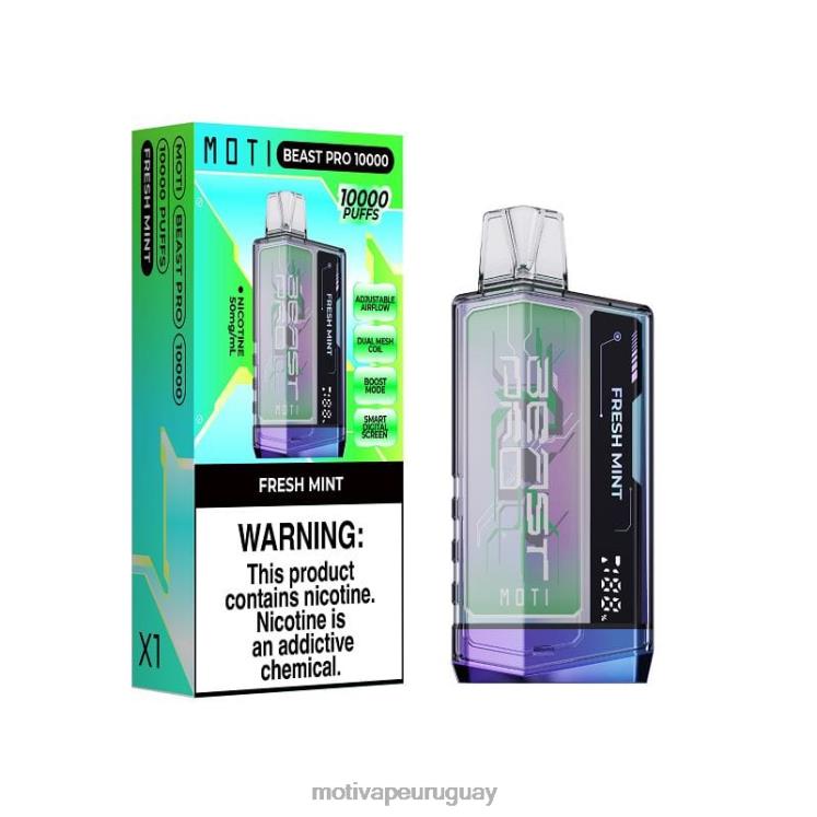 menta fresca